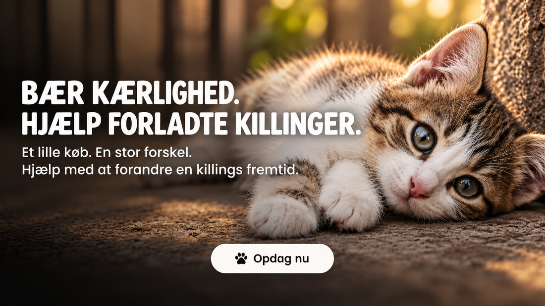 A New Partnership: Meet Stray Cat Alliance