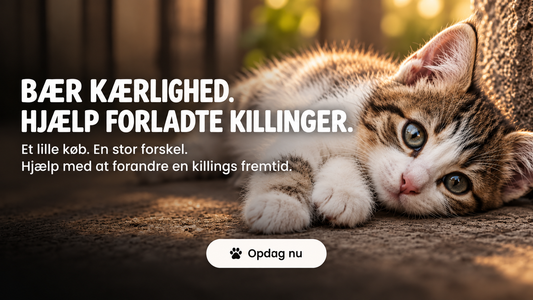 A New Partnership: Meet Stray Cat Alliance