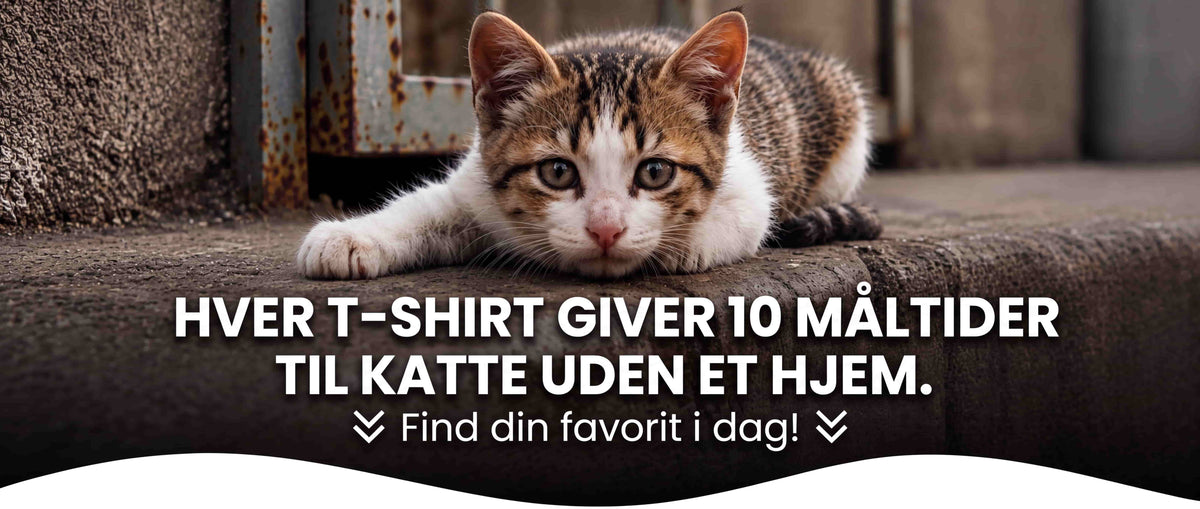 KittyKloset — Hvert t-shirt-køb hjælper med at mætte forladte killinger